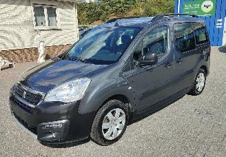 occasion passenger cars Peugeot 207  2017/5