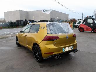 Volkswagen Golf R-TYPE picture 7