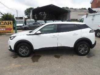 Peugeot 2008 1.5 HDI picture 10