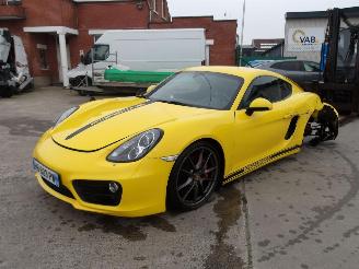 Porsche Cayman  picture 8
