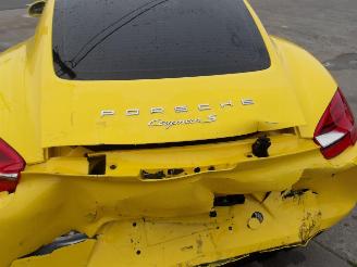 Porsche Cayman  picture 12