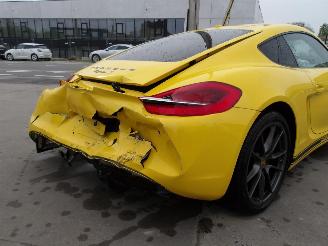 Porsche Cayman  picture 10