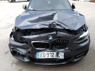 BMW M2  picture 11