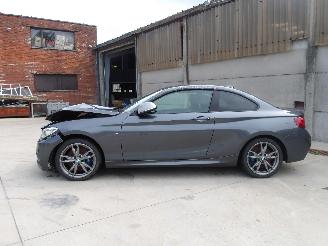 BMW M2  picture 5
