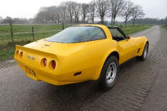 Chevrolet Corvette C3 STINGRAY 5.7 V8 T-BAR picture 13