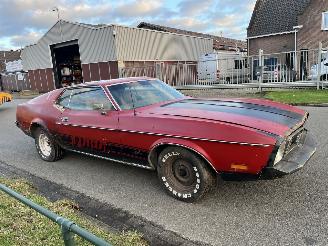 Ford Mustang MACH 1 picture 13