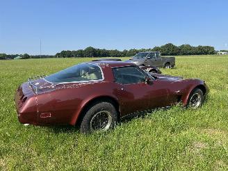 Chevrolet Corvette 5.7 V8 TARGA picture 18
