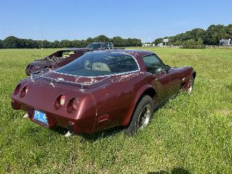Chevrolet Corvette 5.7 V8 TARGA picture 19