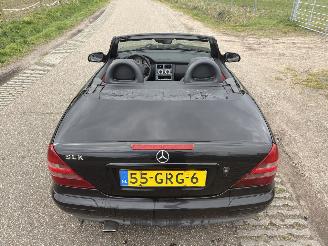 Mercedes SLK 200 CABRIOLET picture 19