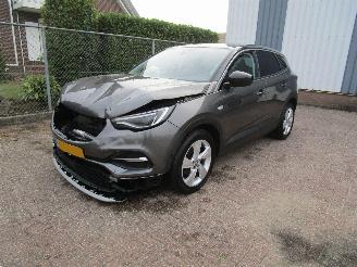 Unfallwagen Opel Grandland X 1.2T Camera Navi Panodak 6-Bak 2019/11