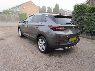 Opel Grandland X 1.2T Navi Clima Panodak 6-Bak picture 2