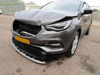 Opel Grandland X 1.2T Navi Clima Panodak 6-Bak picture 5