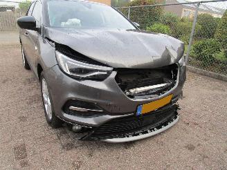 Opel Grandland X 1.2T Navi Clima Panodak 6-Bak picture 8