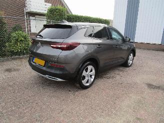 Opel Grandland X 1.2T Navi Clima Panodak 6-Bak picture 4