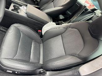 Tesla Model 3 498 PK Premium Long Range AWD 78 kWh picture 29