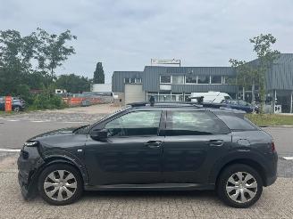 Citroën C4 cactus 1.2|AUTOMAAT  e-VTi Business picture 3