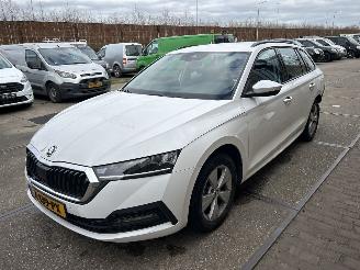 skadebil auto Skoda Octavia 1.0 TSI BUSINESS EDITION 2024/6