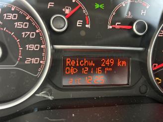 Fiat Doblo  picture 8