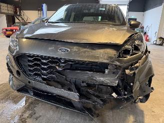 Ford Kuga 2.5 PHEV ST-Line Pano VOL! picture 9