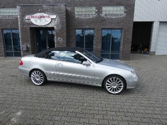škoda osobní automobily Mercedes CLK CLK 320 Avantgarde Cabrio 2004/8