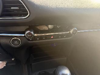 Mazda CX-30 2.0 e-SkyActiv-X Autom. 137KW M Hybrid Luxury Clima Navi Led NAP picture 10