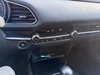 Mazda CX-30 2.0 e-Skyactiv-X 137KW M Hybrid Autom. Clima Navi Luxury HUD NAP picture 10