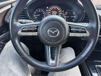 Mazda CX-30 2.0 e-Skyactiv-X 137KW M Hybrid Autom. Clima Navi Luxury HUD NAP picture 12