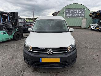 Volkswagen Caddy maxi 1.4 TGI 81KW Clima 5-Pers Rolstoelvervoer NAP picture 2