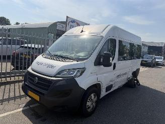 Damaged car Fiat Ducato 79 kWH Autom. 90KW 6 Persoons Rolstoellift 2022/9