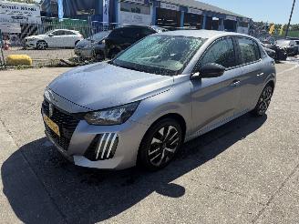 Unfallwagen Peugeot 208 1.2 55KW Active Navi Clima Led 5-Drs NAP 2024/8