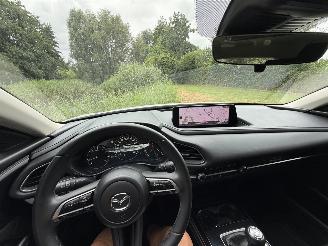 Mazda CX-30 2.5 Hybrid picture 17