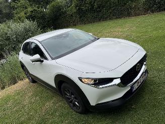 Mazda CX-30 2.5 Hybrid picture 7