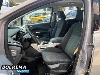 Ford C-Max 1.6 SCTi Titanium Climate Cruise PDC Trekh. picture 9