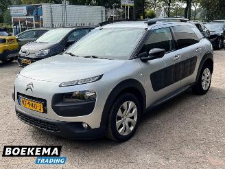 Citroën C4 cactus 1.2 PureTech Shine Navi Climate Cruise PDC picture 4