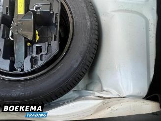 Citroën C4 cactus 1.2 PureTech Shine Virtual Navi Climate Cruise PDC picture 13