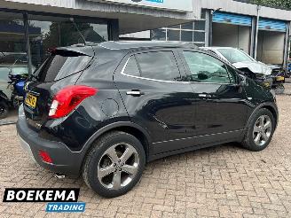 Opel Mokka 1.4 T Cosmo Navi Clima Cruise picture 2
