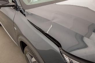 Hyundai Nexo FCEV Plus Pack Leer picture 48