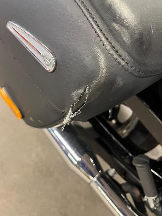 Harley-Davidson Sportster 22.295 km picture 22