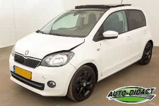 skadebil auto Skoda Citigo 1.0 Airco Open Pano Greentech Arctic Air 2013/4