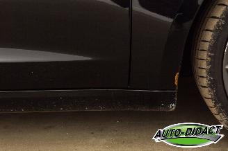 Tesla Model 3 Performance 79% Dual AWD Pano picture 27