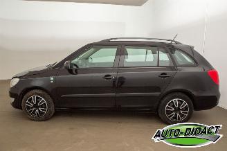 Skoda Fabia 1.2 TDI Greenline Airco picture 32