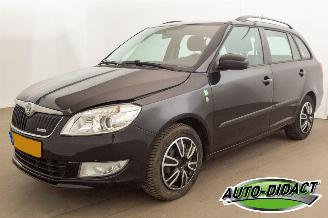 skadebil auto Skoda Fabia 1.2 TDI Greenline Airco 2011/6