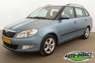 skadebil auto Skoda Fabia 1.2 TDI Airco Greenline 2010/9