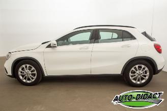 Mercedes GLA 180 Automaat Clima Navi Camera Business Solution Limited picture 38