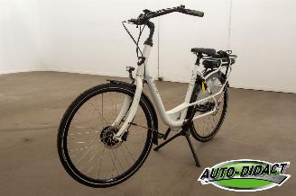 škoda cyklistika Stella  Fiore 2020/1