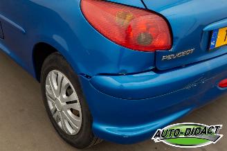 Peugeot 206 1.4 Forever picture 25
