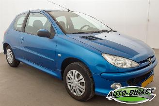 Peugeot 206 1.4 Forever picture 2