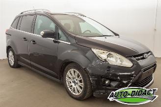 Ford C-Max 1.6 Titanium Clima picture 2