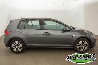 Volkswagen e-Golf 36 kWh Navi Camera Clima picture 37