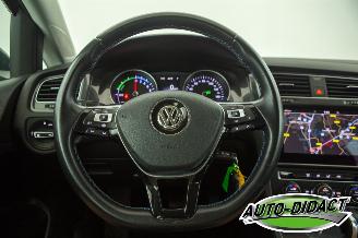 Volkswagen e-Golf 36 kWh Navi Camera Clima picture 5